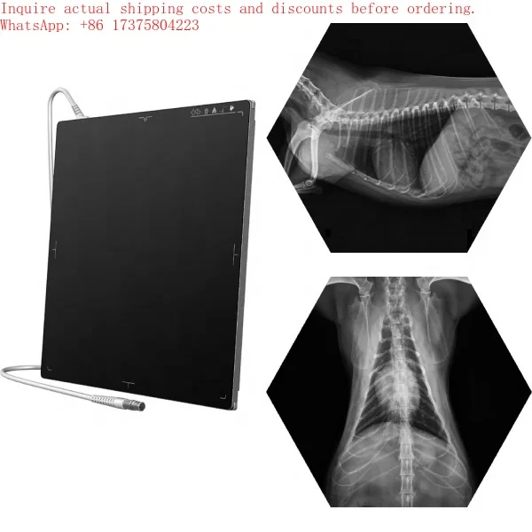 X-ray Flat Panel Detector for Careray Careview with Medical CE Certification 2 Year Warranty High Definition Imaging Portable