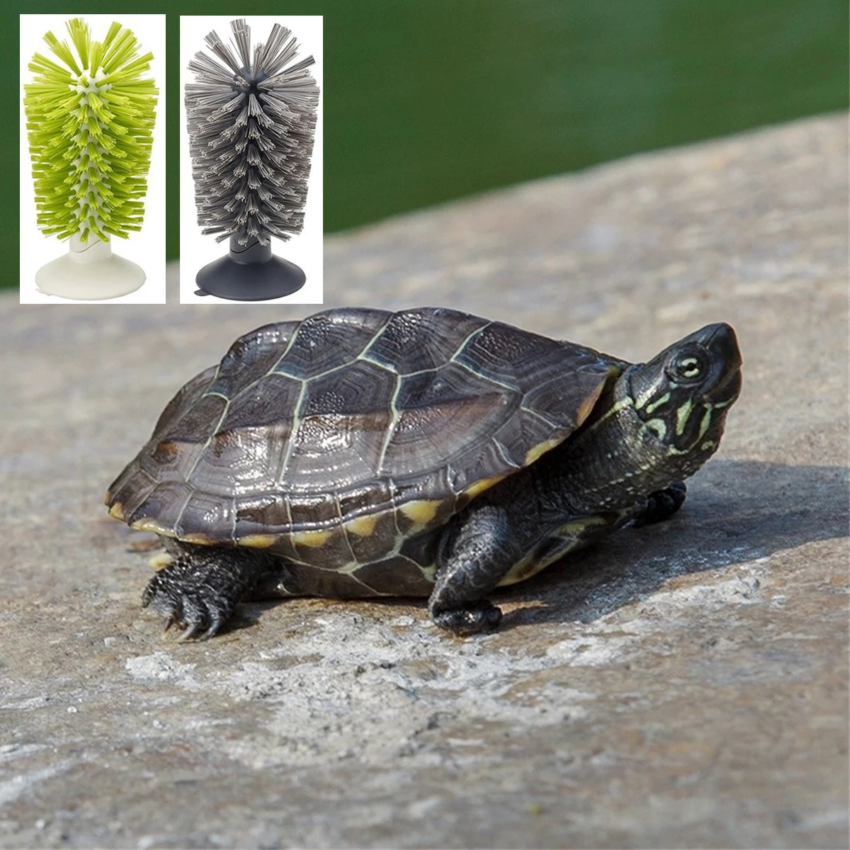 1Pc Tank Turtle Back Scrub Brush Amphibian Friendly PVC Suction Cup Exfoliation Tool for Removing Shell Scutes Promoting Health