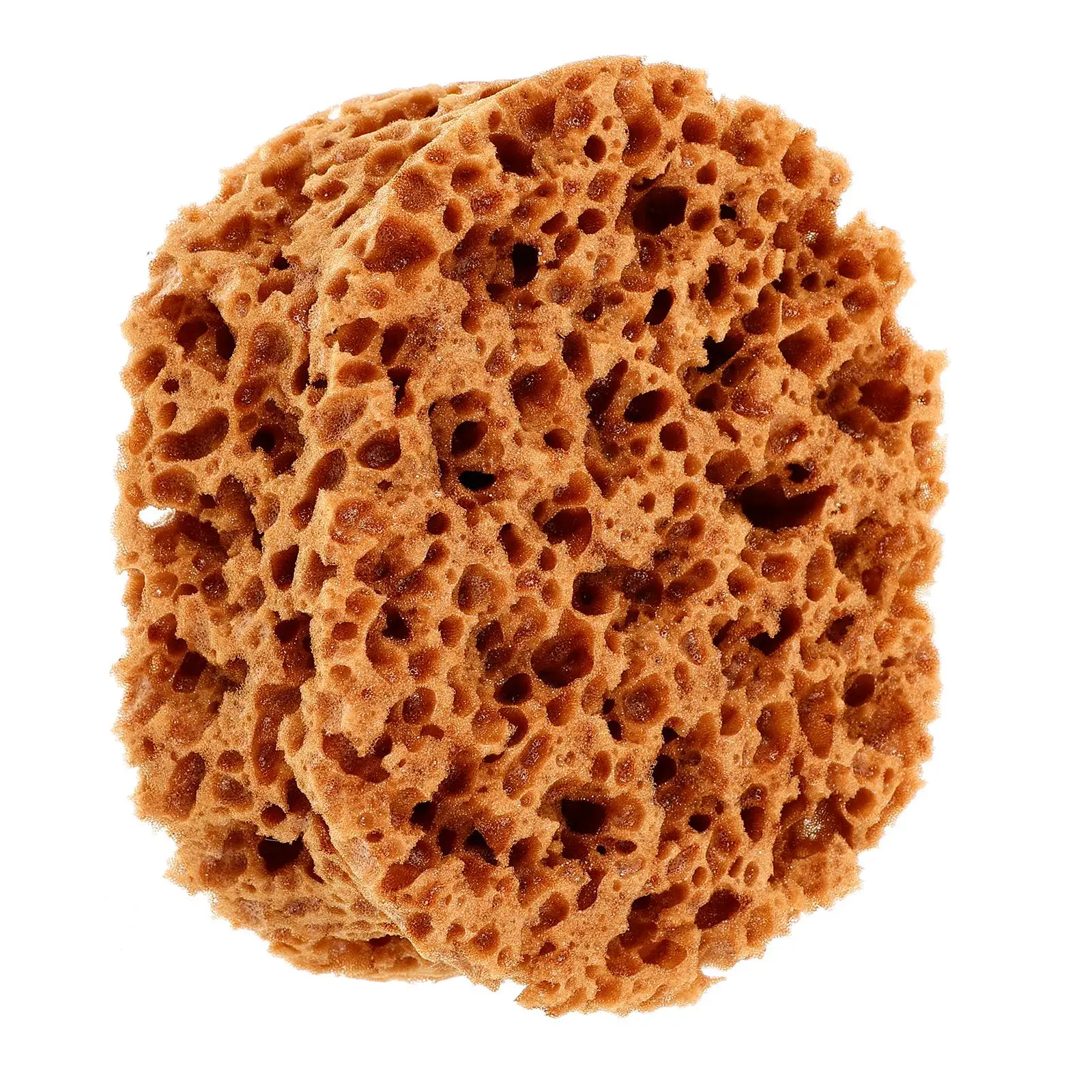 

Seaweed Sponge Tool Round Light Brown Drywall Tools Sponges for Acrylic Painting Sea Sponge Paint Sponges Natural Painting