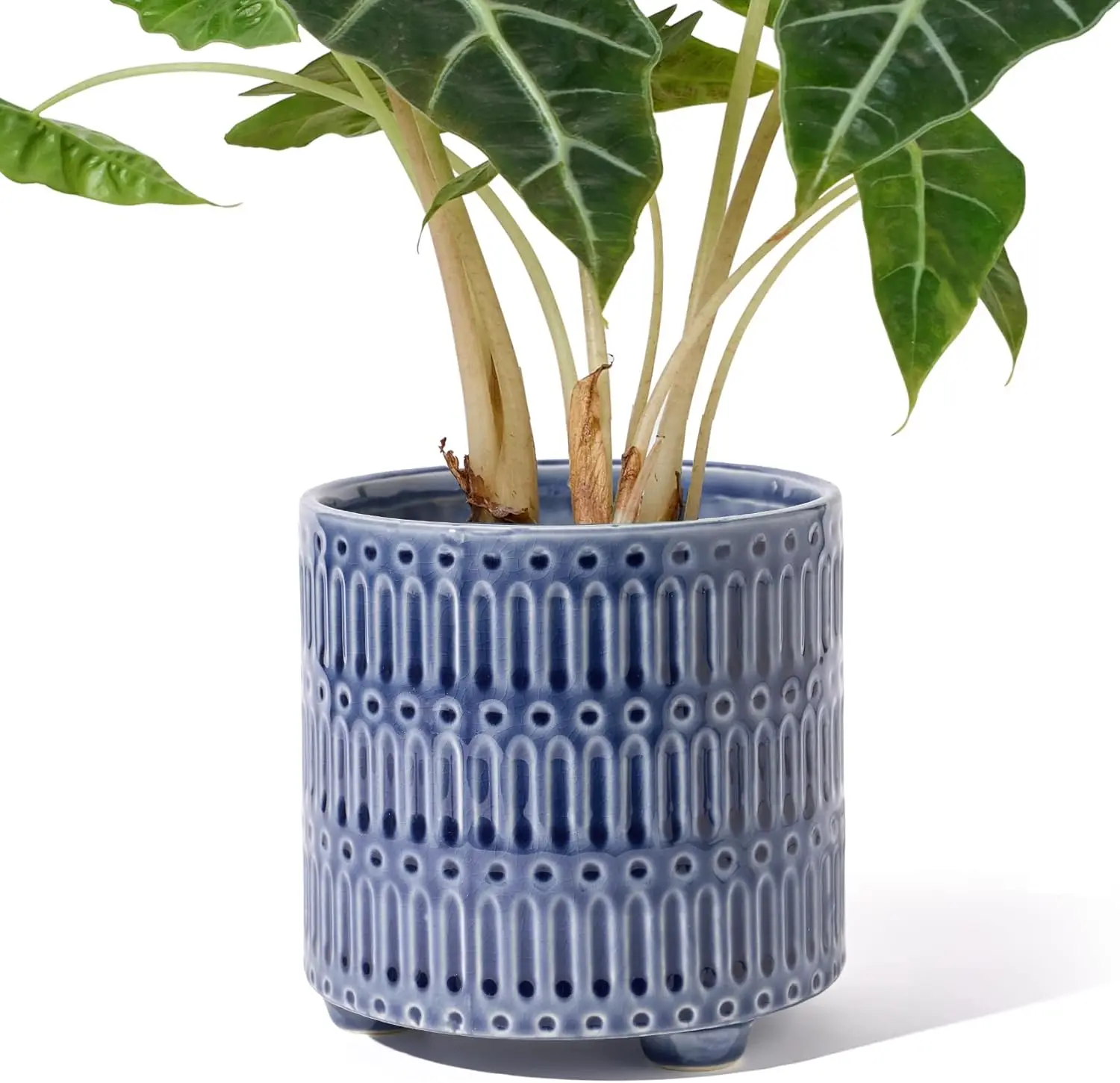 

5 Inch Ceramic Planters for Indoor Plants, Blue Cactus Snake Plant Pots with Drainage, Unique Round Flower Pot