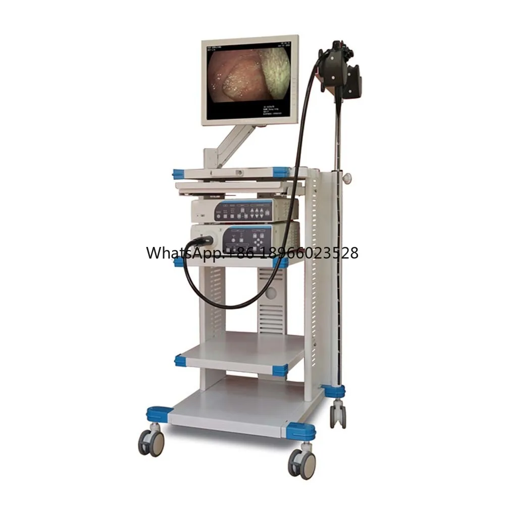 Factory Price Clinic Use Gastroscope Medical Flexible Portable Endoscope Gastroscope And Colonoscope