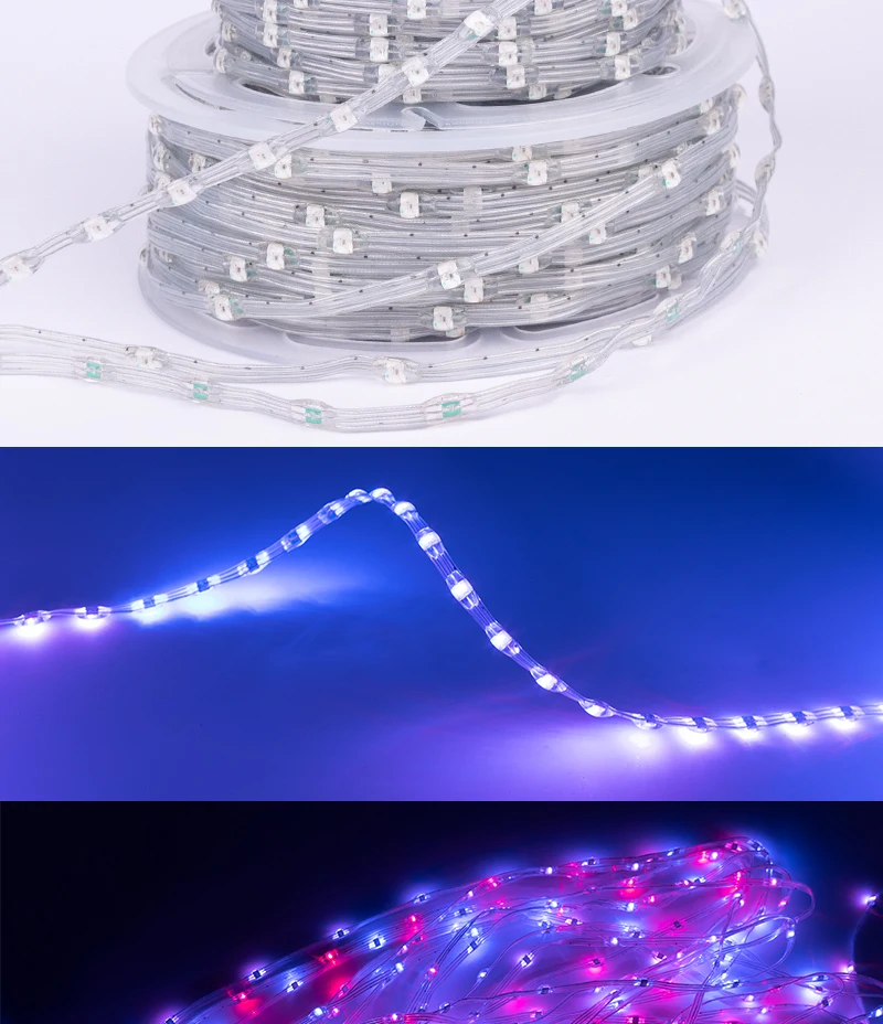 5V 12V WS2811 WS2812 3PIN Clear Lense LED String Lights Dream Color RGBIC Addressable Individually Fairy Seed Pixels Light