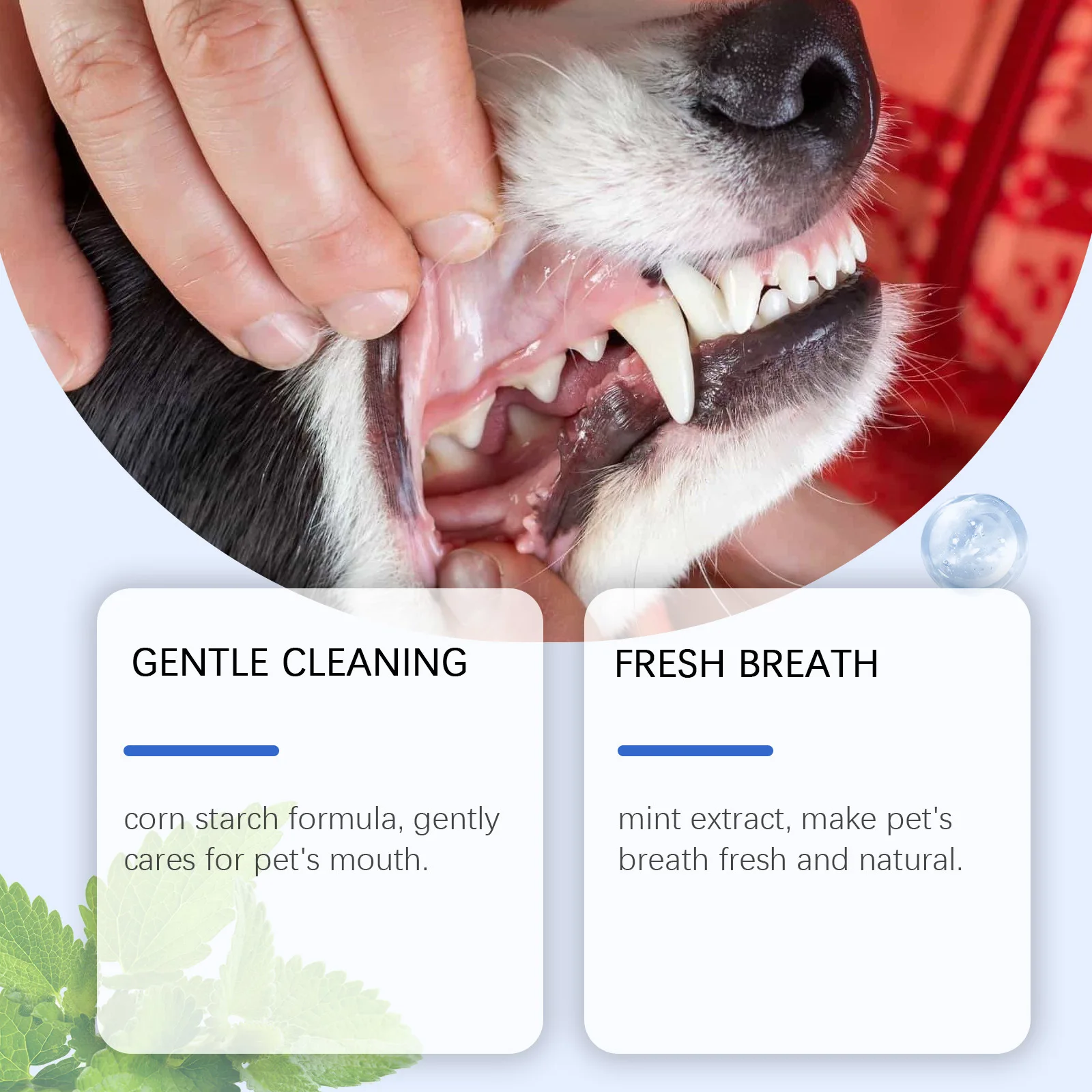 Natural Fresh Breath Dog Teeth Cleansing Powder Gentle Formula for Removing Dental Plaque and Tartar Stains - Fresh Breath