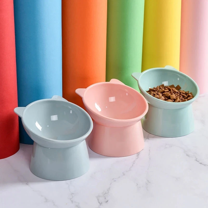 Tilted Pet Feeding Bowl 1