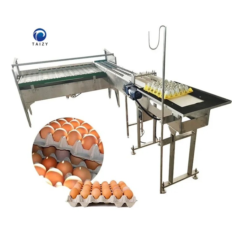 industrial egg classifier poultry egg weight grading sorting machine poultry farming equipment