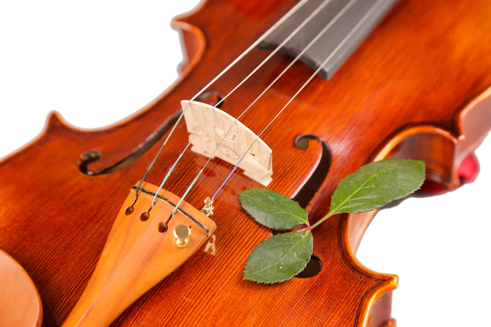 

Professional 4/4 Full Size Carved Acoustic Violin High Grade Solid Wood Stringed Musical Instrument For Orchestral Play