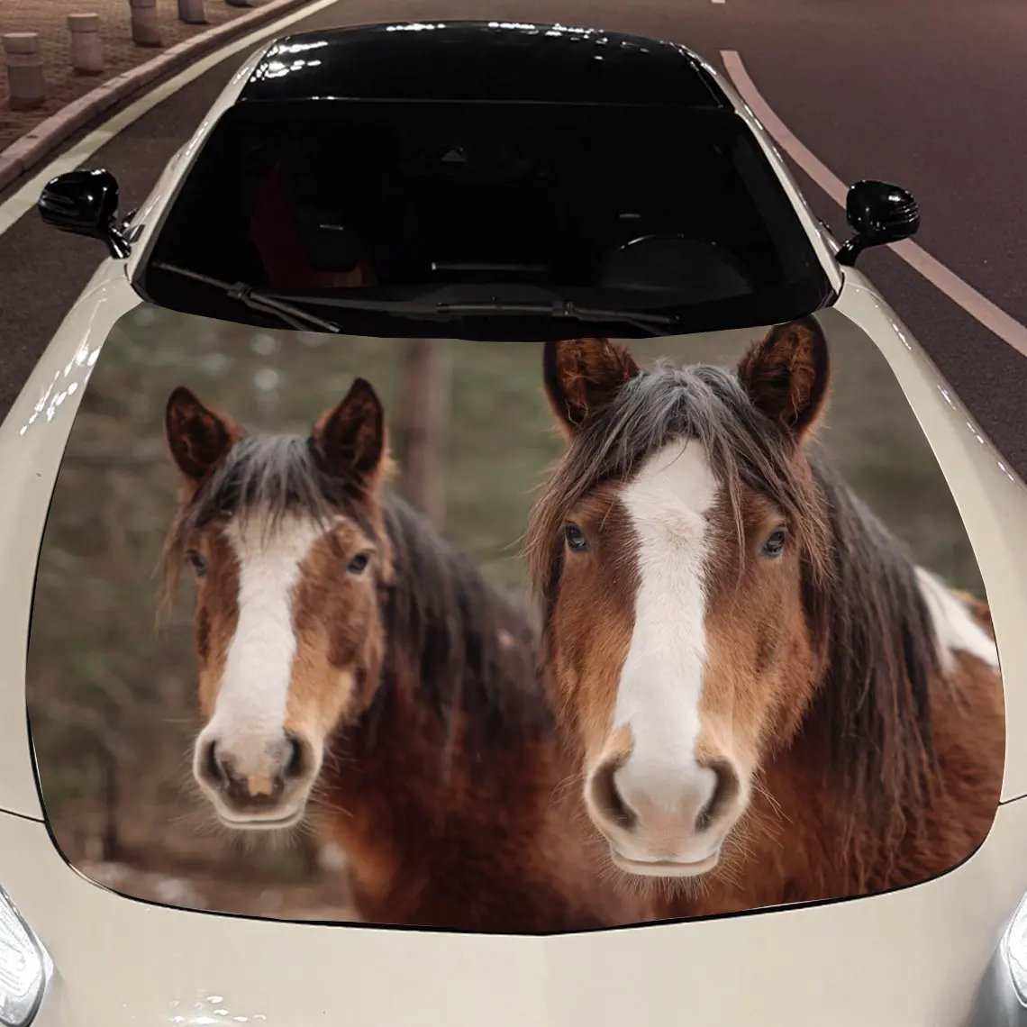 

Car Decals Two Horses in Forest Car Hood Sticker, Waterproof Self - Adhesive Vinyl Graphics Decals, Decorative Protective & Scra