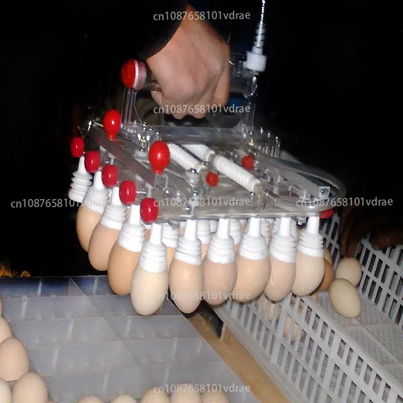 Vacuum Egg Picker, 30-egg Picker, Egg Handling