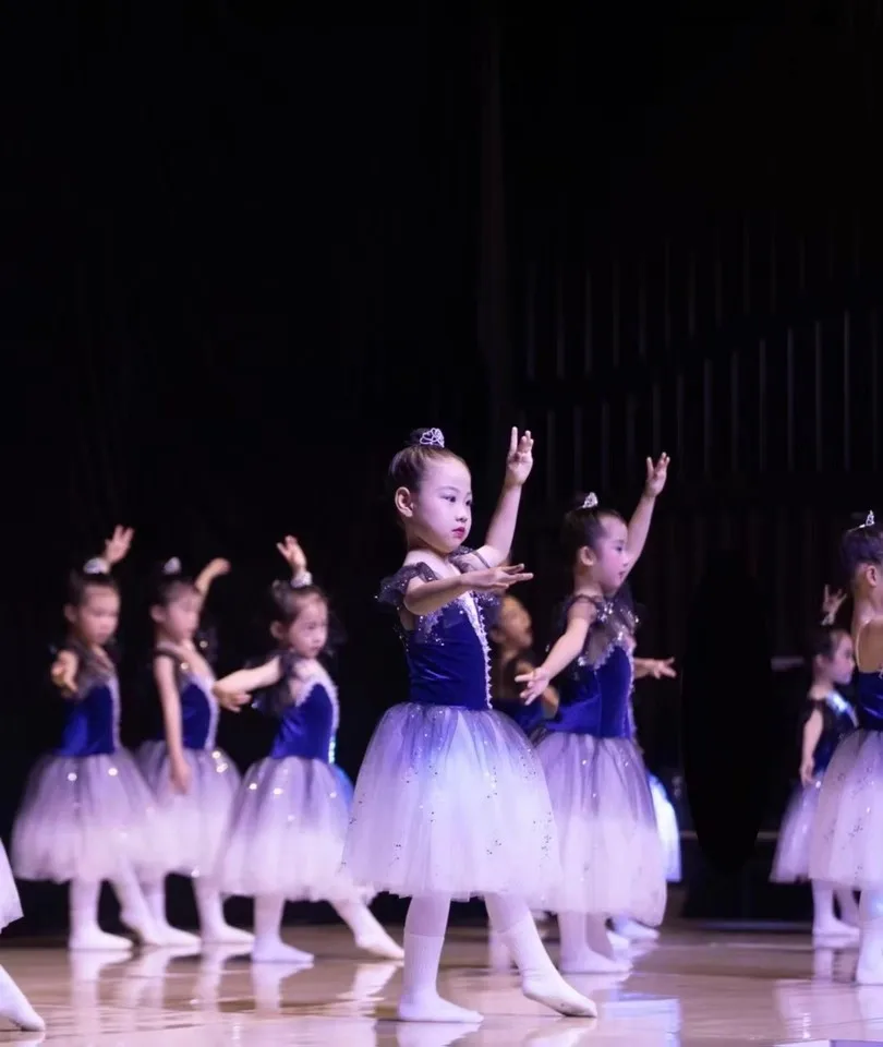 girls-tutu-performance-clothes-professional-swan-lake-long-sleeve-stage-costume-for-kids-ballet-dresses