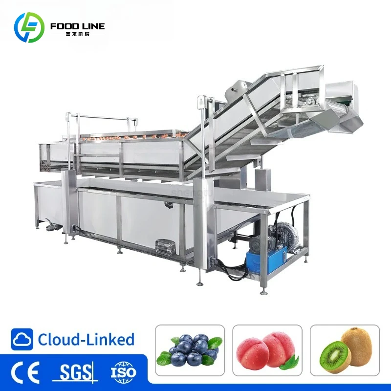 Customized Automatic Stainless Steel Fruit Vegetable Air Bubble Washer for Mangoes with IoT Monitoring System