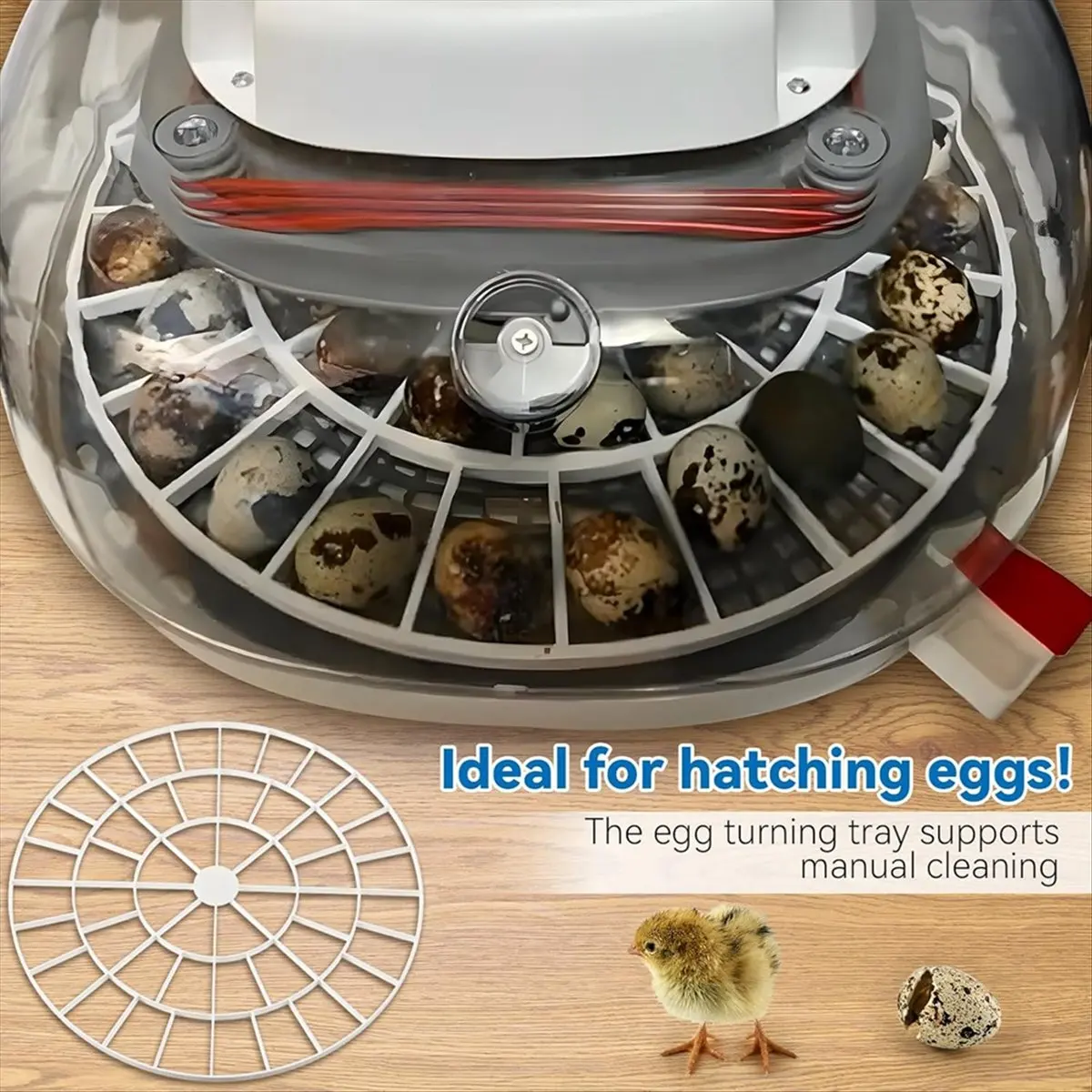 A67T NEW Egg Tray for Nurture Right 360 Incubator,Egg Turner Tray Replacement for Hatching Small Quail Bird Chicken Goose Turkey