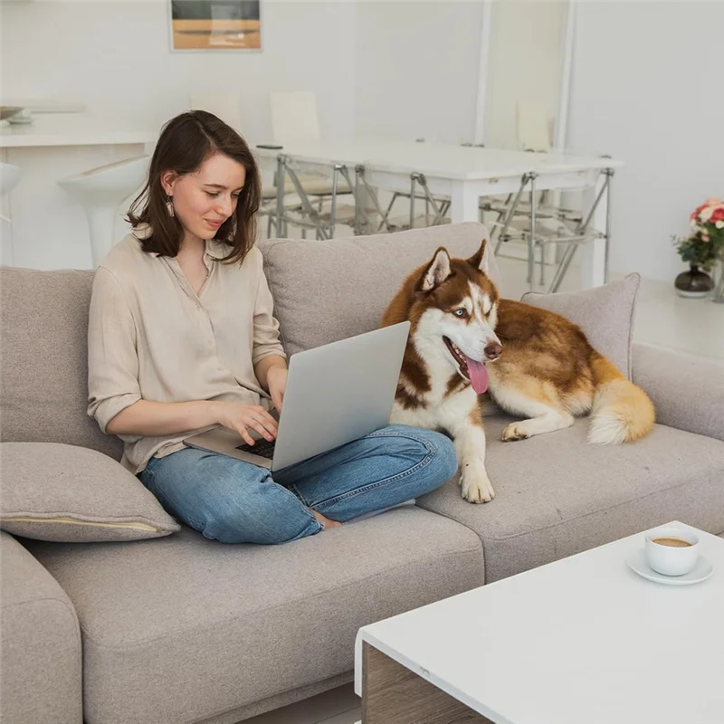 Couch Cushion Support For Sagging Seat, 3Pcs Sofa Furniture Seat Cushion Sagging Repair, Foam Sofa Cushion Support-A05I