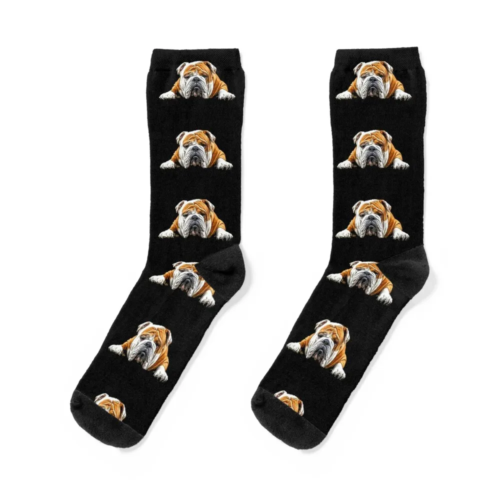 

Bulldog Chill Pose - English Bulldog Socks fashionable Sports halloween Stockings compression Socks For Girls Men's
