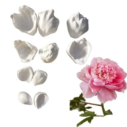 10pcs/set Peony Petal Silicone Veiner Mold DIY Handmade Fondant Flower Clay Form Mould Cake Decorating Tools Baking Accessories