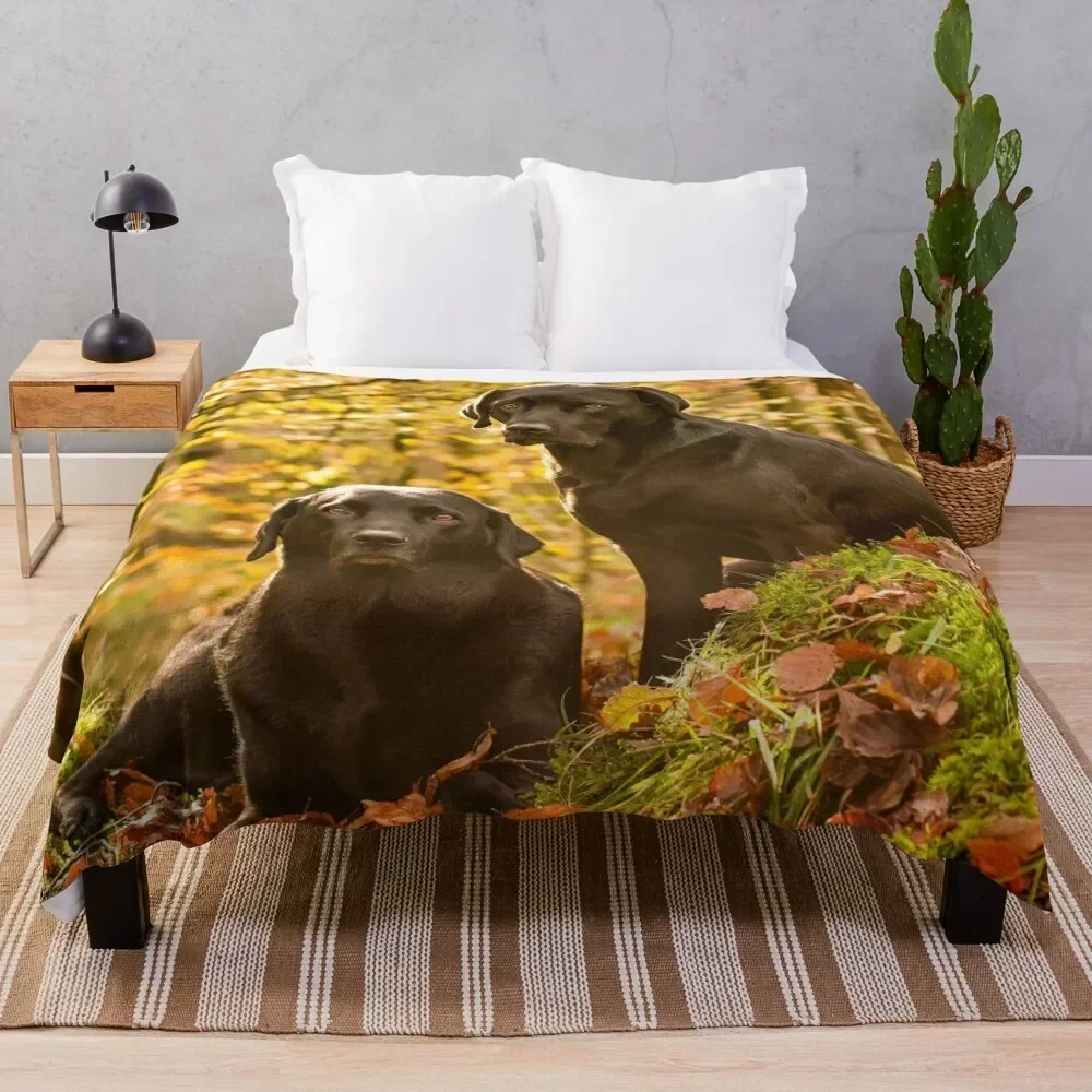 

Black Labradors Throw Blanket Summer Cool Breathable Blanket for Sleeping