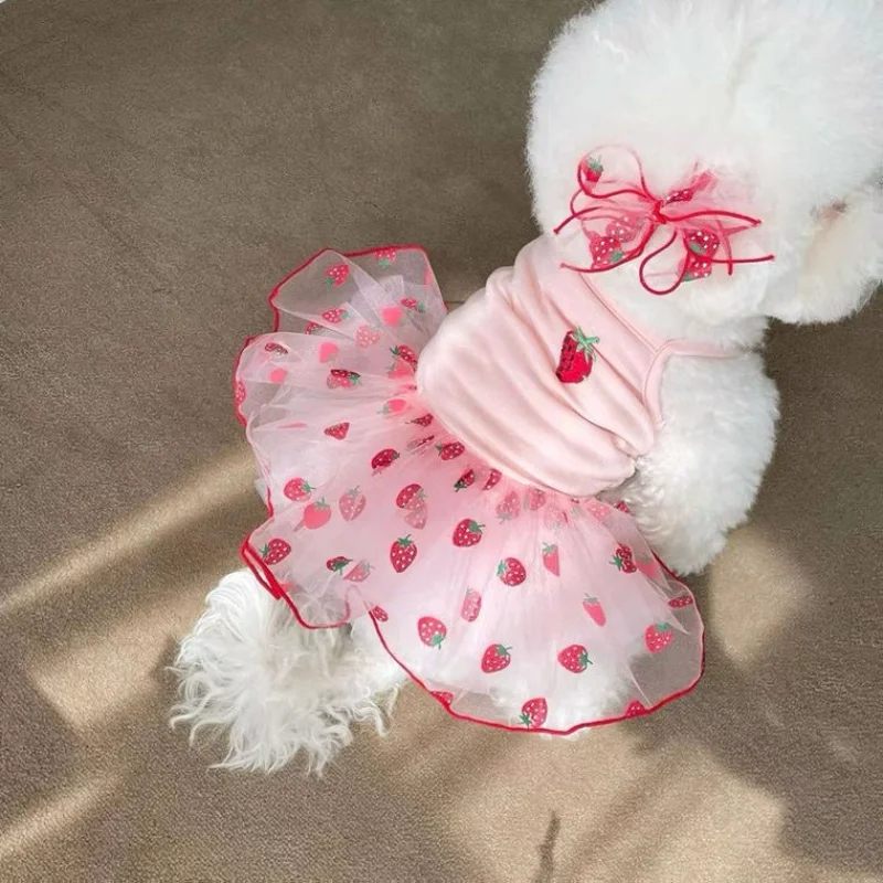 Vestido de verano con estampado de fresas para perro, falda con tirantes para perro, ropa para gato pequeño, malla bonita para mascotas