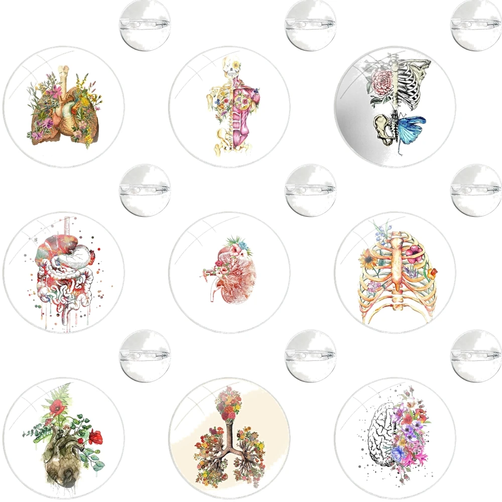 Medical Human Organs Brain Meridian Kidney Diagram Pins Badge Metal Brooches For Clothes Backpack Decoration gift