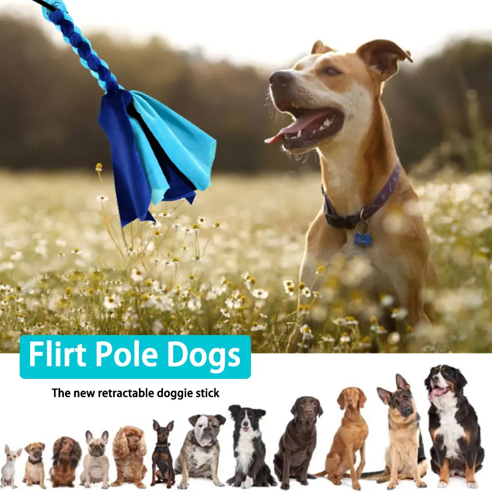 Retractable Dog Stick Interactive Dog Toys Extendable Flirt Pole Funny Chasing Tail Teaser And Exerciser For Pets Outdoor Toy