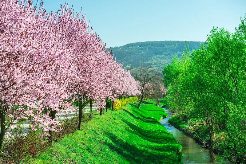 2Pcs Steel Steering…