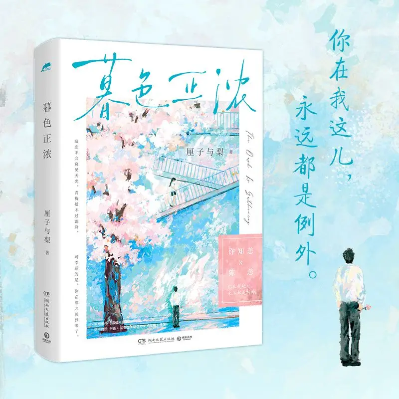 Pure Youth Fiction Book Dusk Is Thick Cool Boy & Soft Girl Long Time Crush Love Story Novel