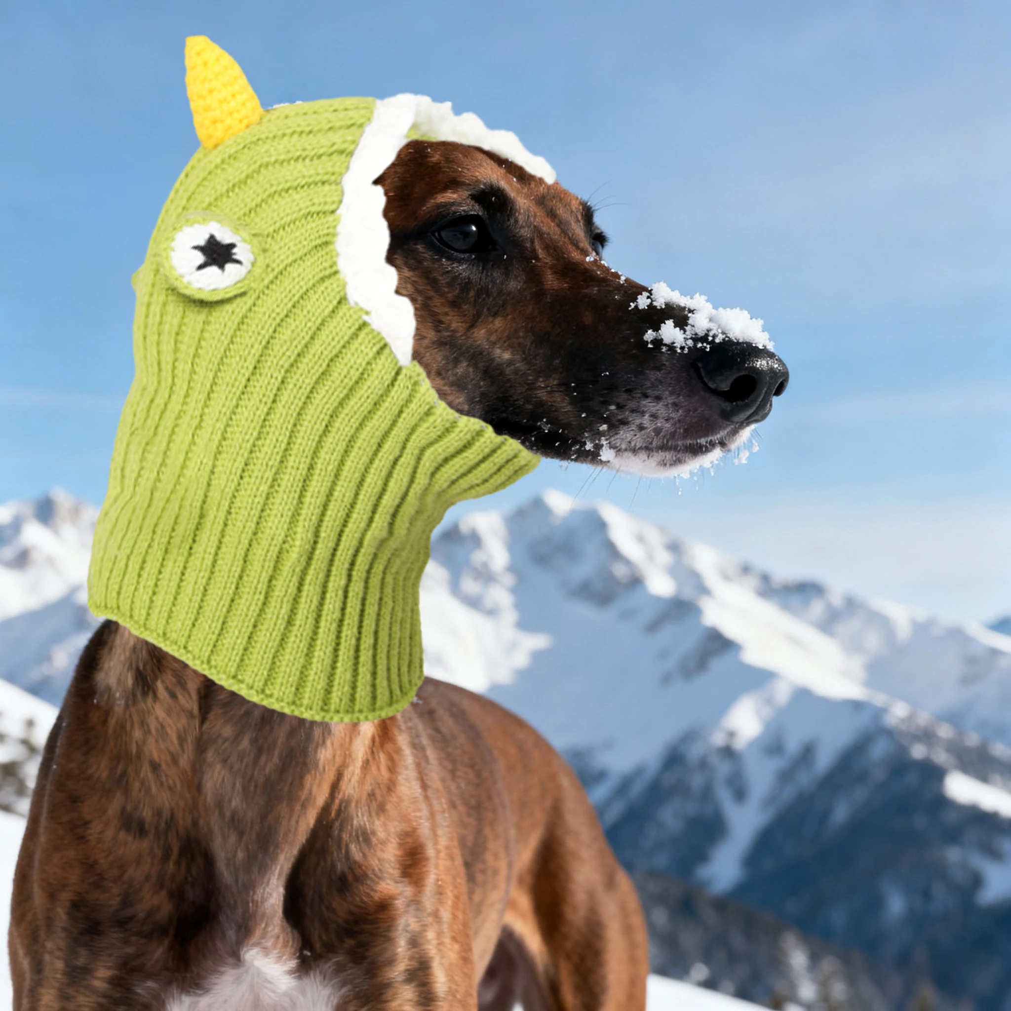 قبعات الكلاب لخريف وشتاء عبارة عن رواية بأناقة ولا يجب اقتناؤها للخروج #2