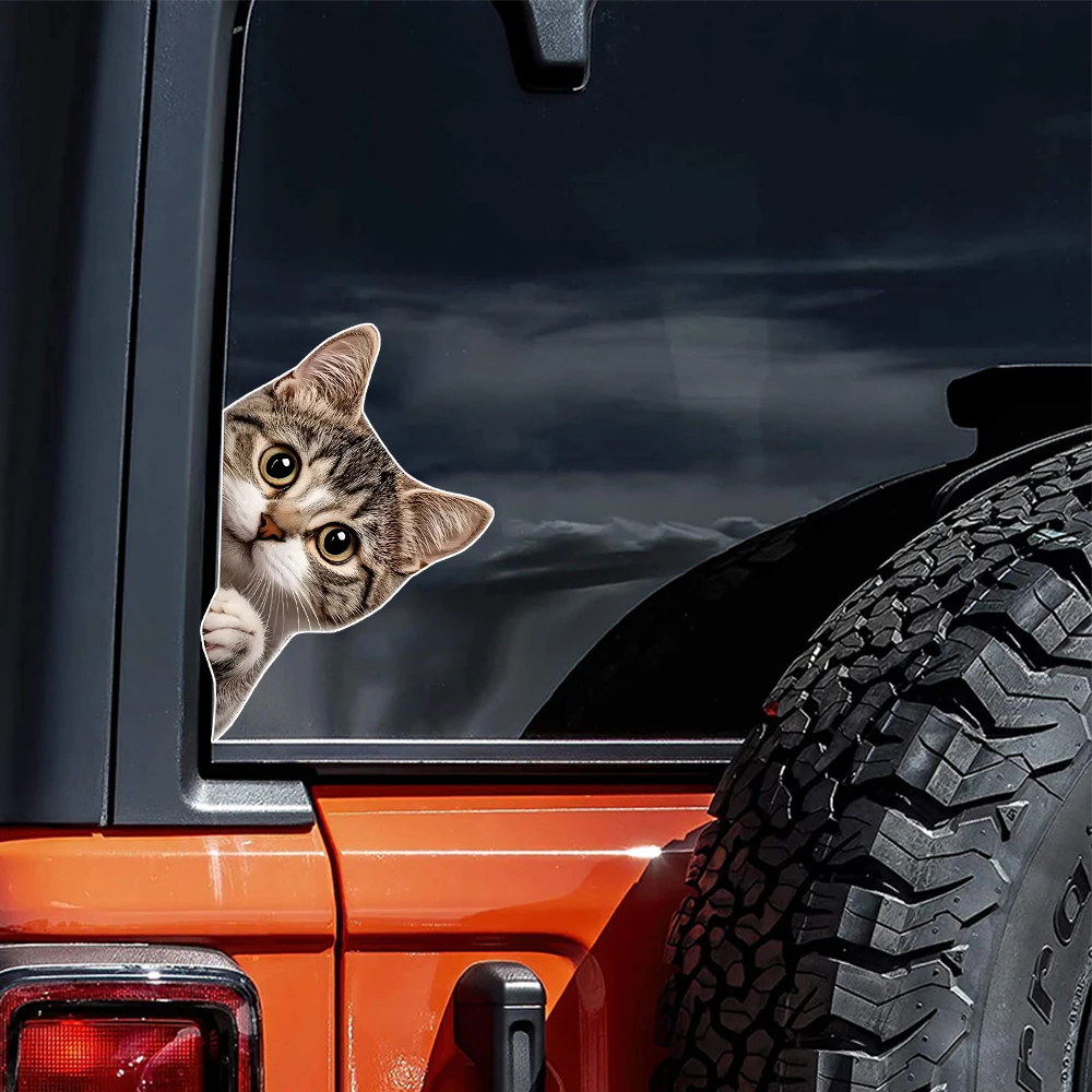 Vinyl-Aufkleber mit spähendem Katzenmotiv, wasserfest, für Auto, Motorrad, Laptop, Outdoor-Dekoration