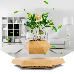 Magnetic Levitating Plant Pot Floating Flower Planter Hovering Rotating Levitation Decor Kids Adult Christmas Birthday Gift