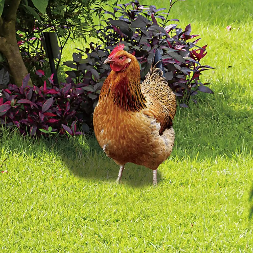 Ornamental Eco-friendly Rooster Decor Garden Statue Chicken for Garden