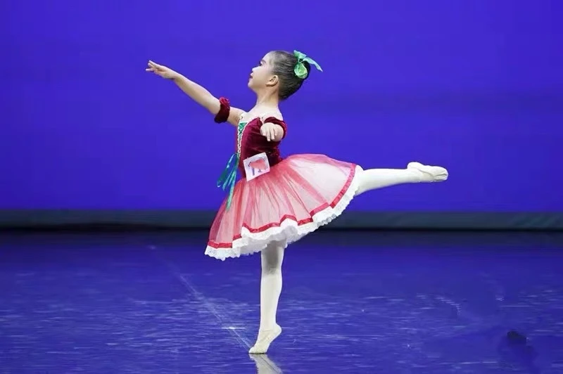 Adult Ballet Tutu Skirts Performance Clothing Girls Red Swan Lake Dance Costumes Ballerina Dress Professional Kids Ballet Dress