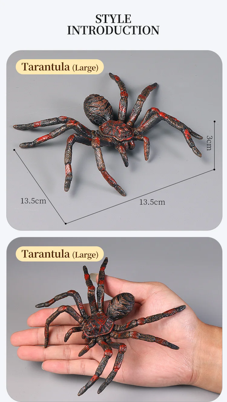 Pädagogische Insekten Spinne Spielzeug Zoo Action Figur Set Tier Welt Wissenschaft Kognitive Lernen Modell Simulation Dekor für Kinder – Detail 3