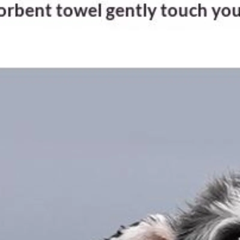 Microfiber Pet Bath Towel Embroidered Super Soft Absorbent Towel For Dogs Cat Grooming Supplies