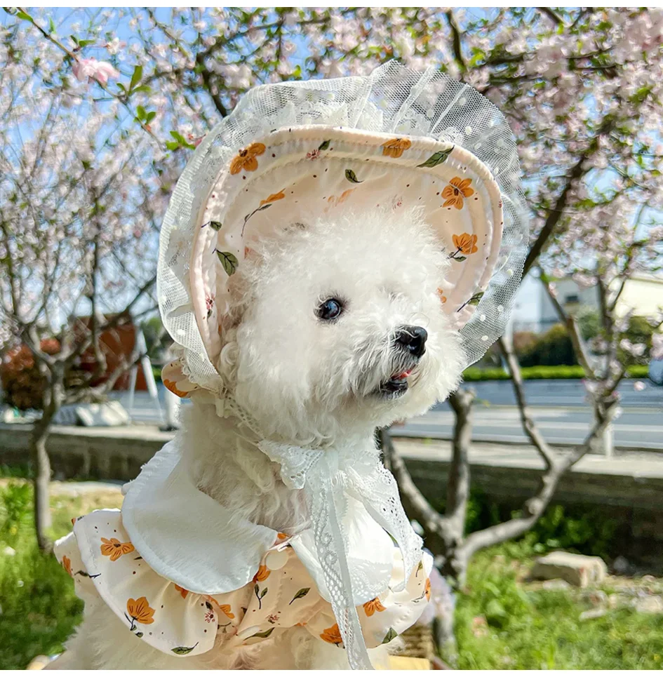 

Dog Baseball Cap Dog Visor Hats Pet Sun Protection Hats Outdoor Sports Hats with Ear Holes Hats for Dog Sun Protection Visor Hat