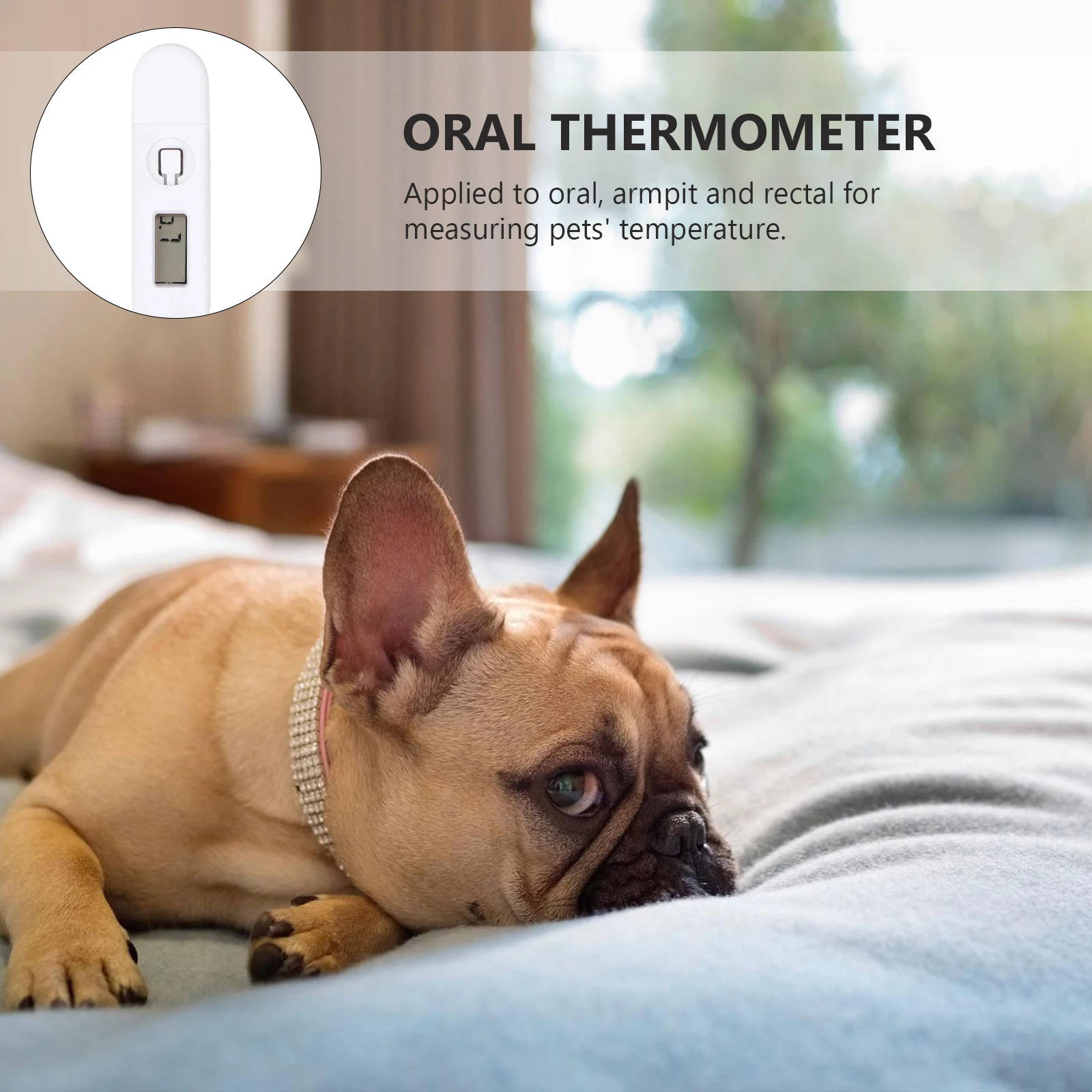 

Digital Thermometer for Pets Accurate Thermometer LCD Electronic ±0 1℃ Lightweight Small Pen Body Temperature