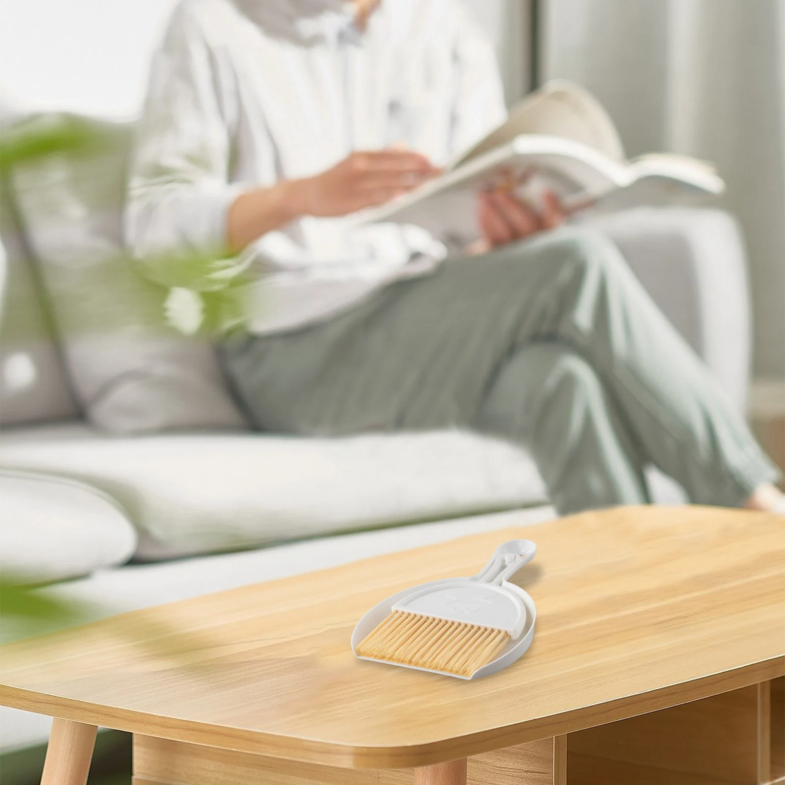 Space-Efficient Desktop Cleaning Tools with Broom and Dustpan for Crumbs Dirt and Particles on Work Surfaces and Appliance Areas