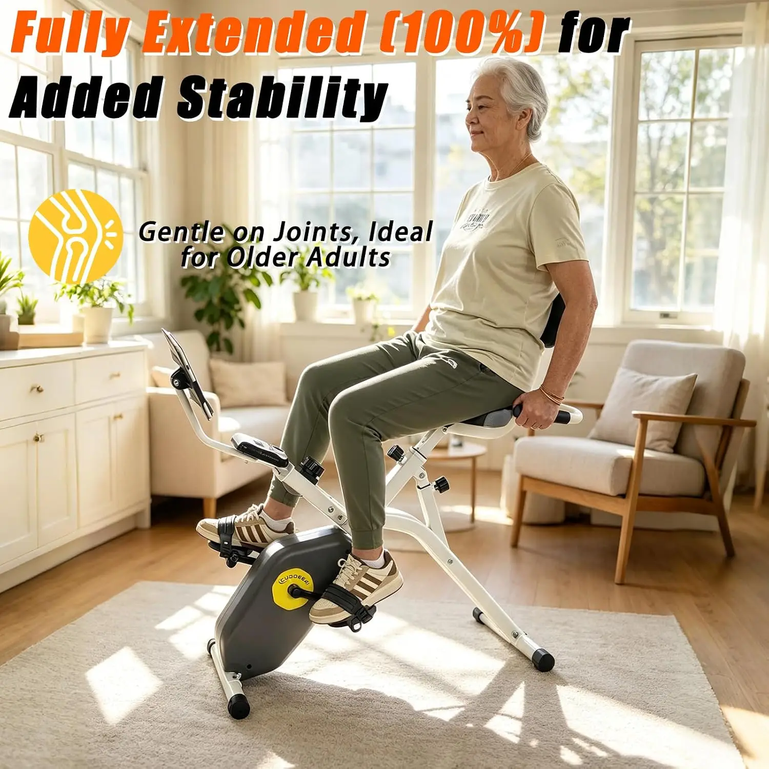 Recumbent Stationary Exercise Bike with Magnetic Resistance and Foldable Frame