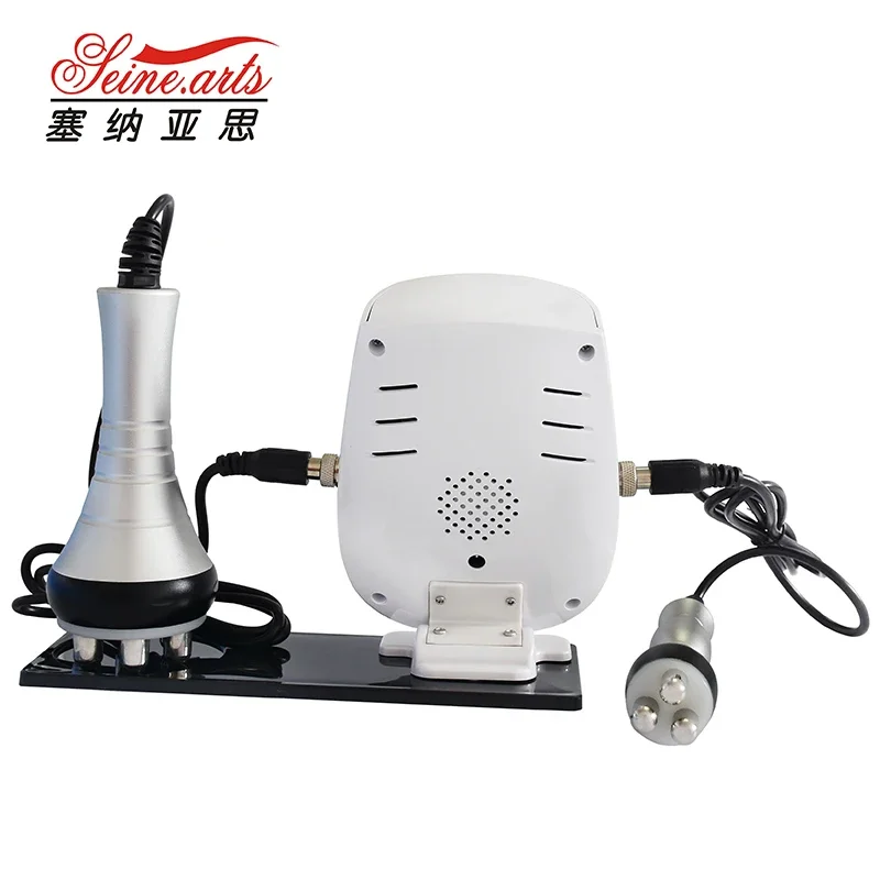 2024 Portable Face Lifting Device Facial Radiofrequency Body Slimming V Shape Machine RF Multipolar Wrinkle Removal (LW-113B)