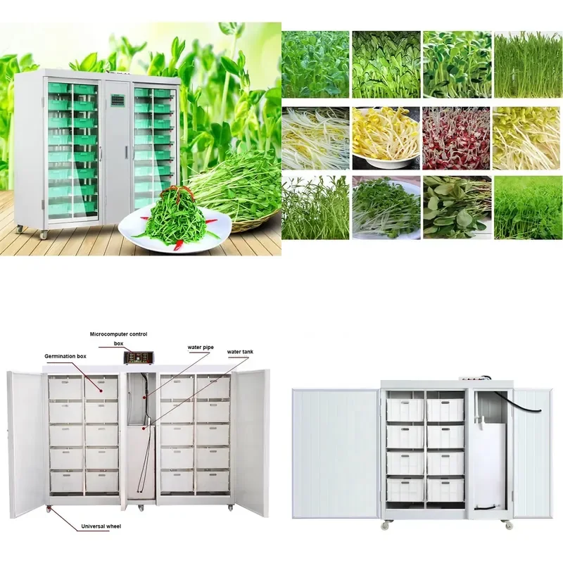 for Chinese manufacturer high quality bean sprouts equipment germination seed planter