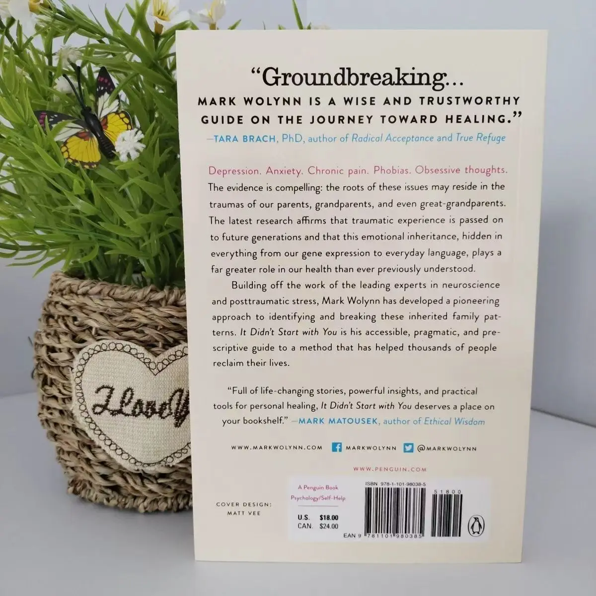 شفاء الصدمات العائلية: إنه ليس دليل خطأك |   كسر الدوائر، الاسترداد من كتاب المساعدة الذاتية لجروح الطفولة