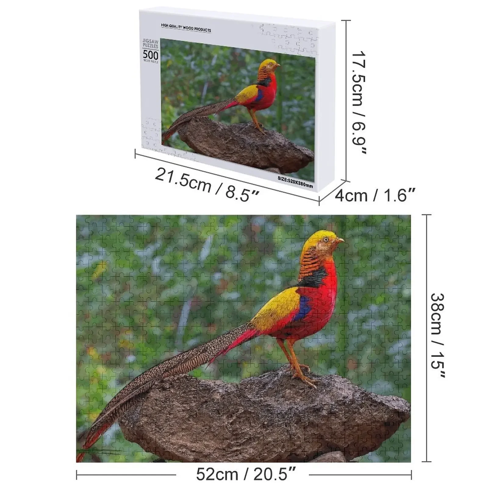 Puzzle de dessin de faisan doré, nouveaux jouets en bois pour adultes et enfants, 2022