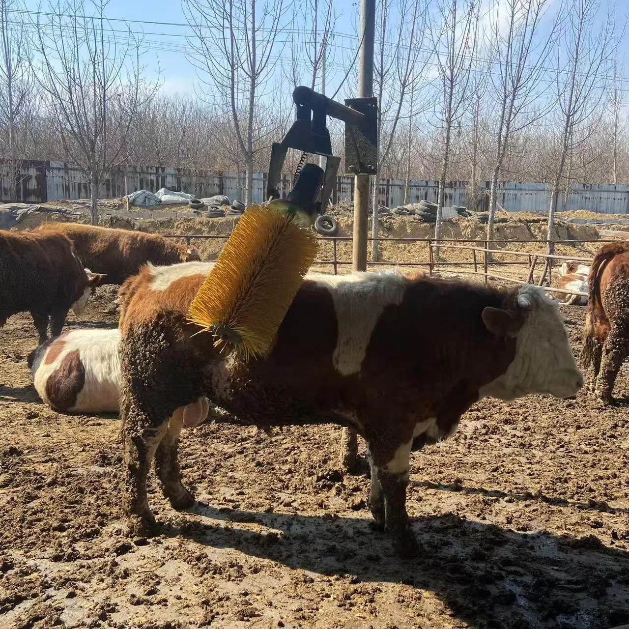 Electric Swing Cow Brush Livestock Scraper