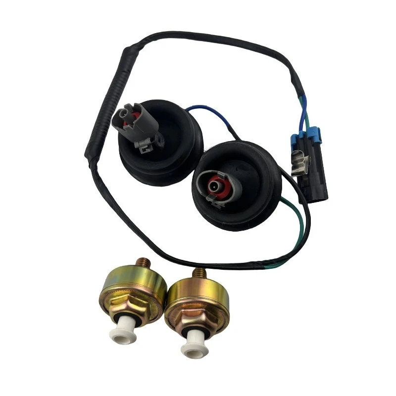 

Automotive knock sensor AS10017 12589867 213-3521 10456603 Smart