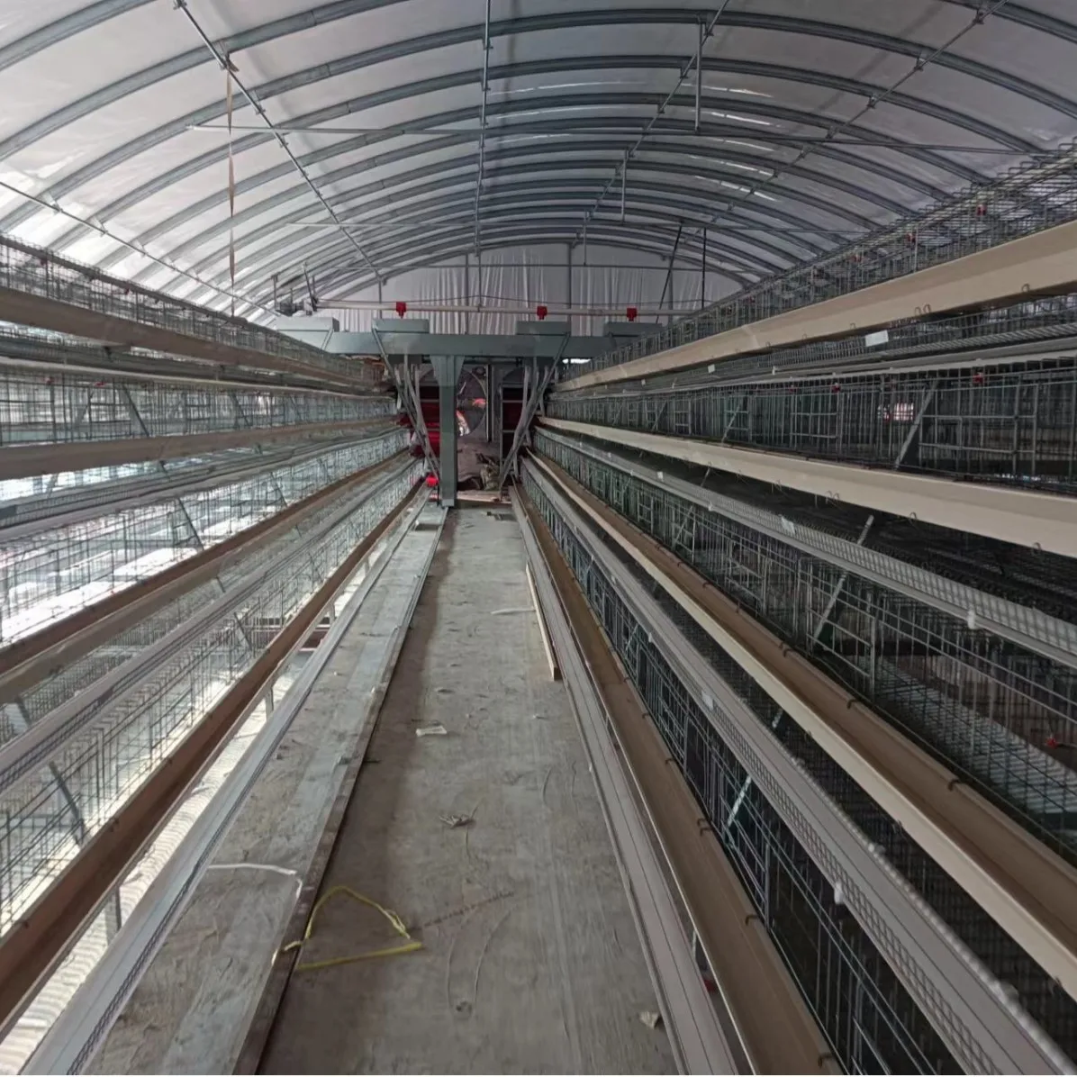 Automated Layer Chicken Cages, 4 in 1 System, Feeding Egg Collection Manure Cleaning, Poultry Farm Equipment