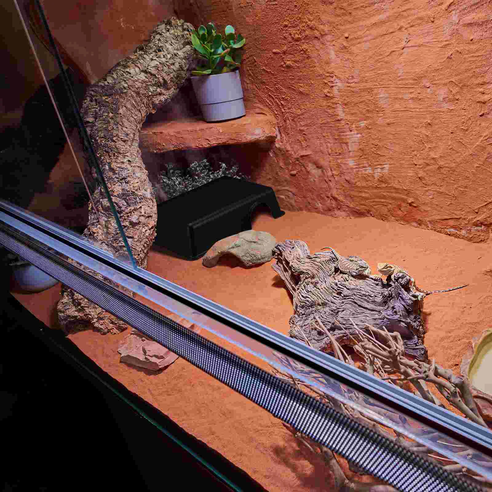 

Turtle Reptiles Hide from Caves Spider Shelter Container Hermit Realistic Habitat Fish Tank Accessory Black Climbing