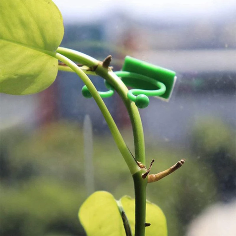 AA86 80 ชิ้นพืชปีนเขา Wall FIXTURE คลิปผู้ให้บริการพืช Vines สวนสีเขียวใบพืชผนังคลิป Vines สําหรับตกแต่ง