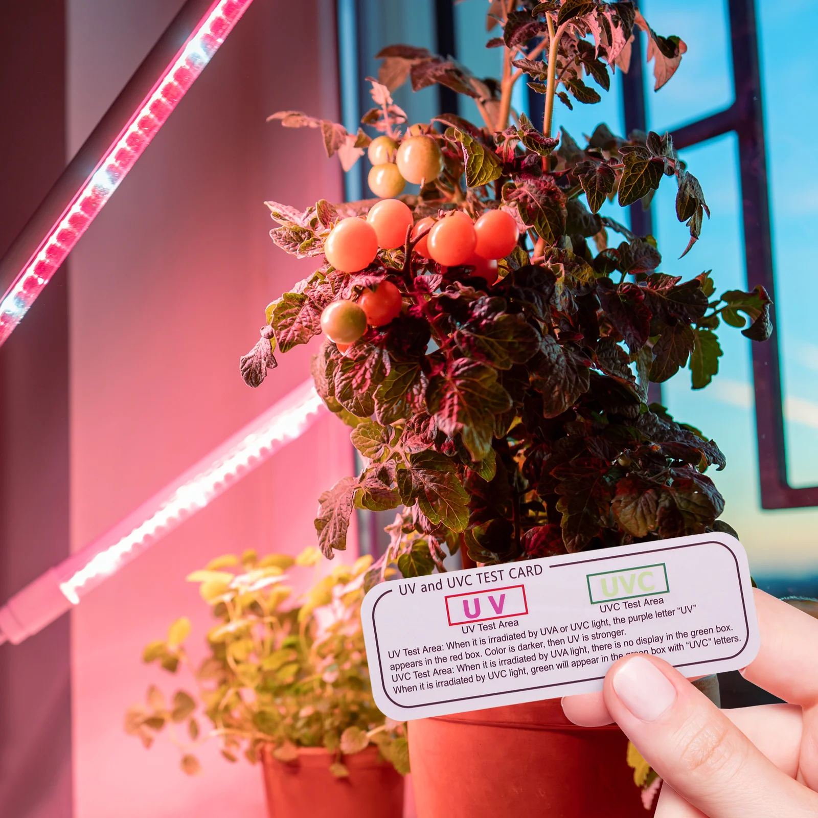 

5pcs Uv Light Test Cards Uvc-Uva Indicator Paper For Disinfection Box Lamp Testing Strip Indoor Uv Identifiers