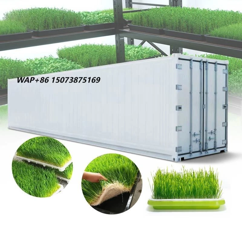 Cattle Alfalfa Hydroponic Green Grass Wheat Bud Seedling Fodder Growing Sprout Sprouting System Machine