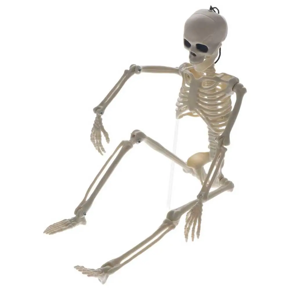 Car Ornaments Flexible Decoration Skeleton 40CM Car Decoration Anatomy Skeleton People Active Model Human Skeleton Model