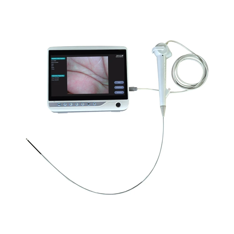 

Portable USB Veterinary Endoscope for Horse Non-Flexible Medical Equipment with 1.6m Working Channel Reusable for Dogs