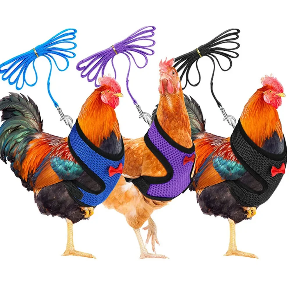 Fashion Chicken Duck Vest Breathable Hen Belt Bow Comfortable Leads Pet Harness Matching Collars Mesh  Poultry Supplies Leash