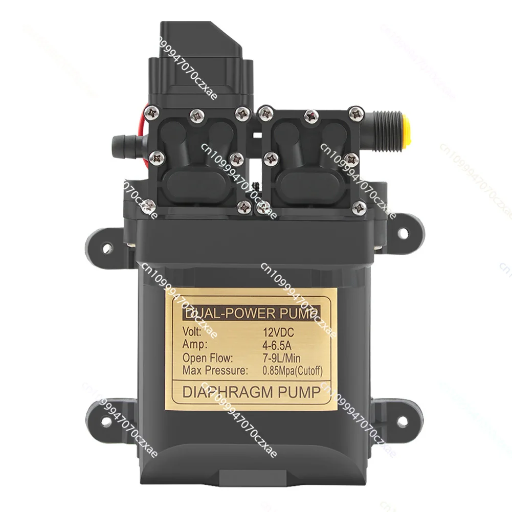

7-9LPM High Pressure Double Diaphragm Pump